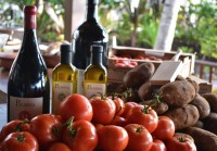 ワインの祭典「ラ・ドルチェ・ヴィータ」開催