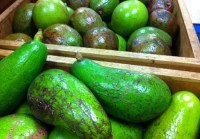 ハワイ産アボカドでつくるヘルシー「ワカモレ」