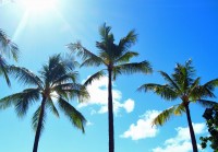 ハワイアンコスメの生産地を訪ねて【ハワイ島編】