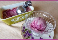 夏の冷たいロースイーツ、フローズンヨーグルトとベリーゼリーでクールダウン！