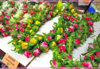 こっそり教えます。知る人ぞ知るフラ小道具のお店