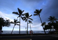 世界で最も美しいコースと いう呼び名も高いビッグアイランド・インターナショナル ・マラソン2013