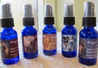 ワードセンターズのパワースポット「セドナ」新アイテム＆サービスと共に移店新装オープン！