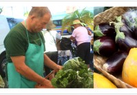 毎週土曜日の朝、ワードセンターズにファーマーズマーケットがニューオープン。