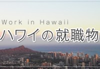 ハワイの就活物語 Vol.3 OPTとしてハワイで働く為の就職活動で困ったこと