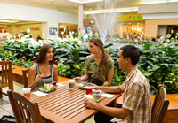 カハラモールでホリデーシーズンのショッピングをもっと便利に楽しく！