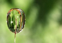 ハワイ島の恵みから生まれたコスメ「Ola(オーラ)」