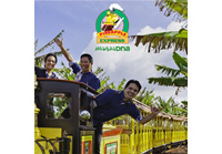 マノアDNAドールプランテーション限定CD好評発売中！