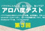 ハワイのこんなこと、あんなこと、知ってる？アロハ度テスト Vol.3