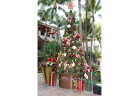 ブライトクリスマス！ワイキキの巨大ツリーに灯がともる！