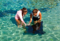 この夏のハワイはファミリー向けサービス充実のフォーシーズンズリゾート・フアラライへ！