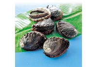 アラモアナセンターのコナ・アバロニで、週に３回の活きアワビ特売日をスタート