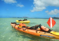カネオヘ湾沖に浮かぶサンドエリアでカヤック＆スノーケル