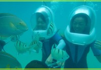 メイクをしたまま海中散歩が楽しめる不思議なマリンスポーツはこれ！