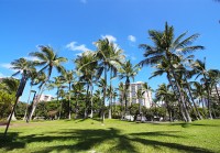 ビーチも緑も楽しめるワイキキの穴場お散歩スポット