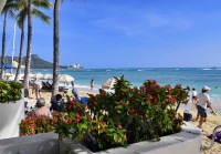 波の音をBGMにシーフードディナーとロマンティックなひとときを