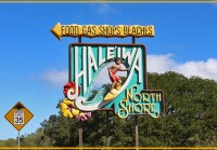 時間も予算も有効に使える便利でお得な「ノースショア半日観光ツアー」